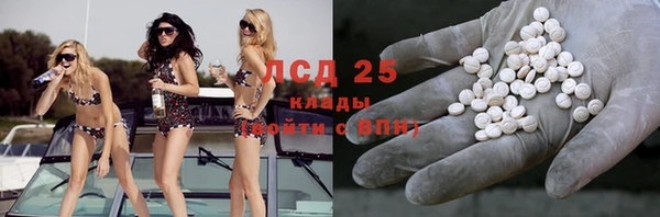 сатива Алзамай